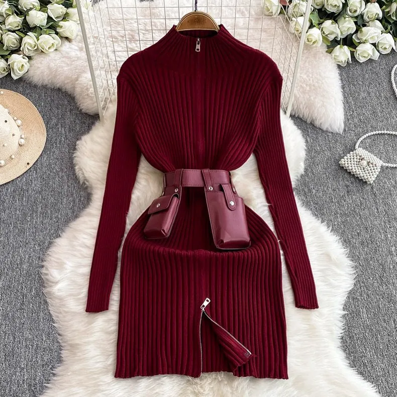 Snythia Bodycon Zipper Dress with Belt