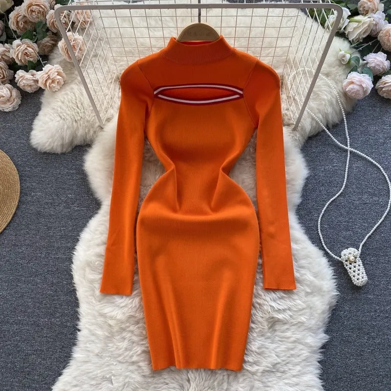 Soneya High Neck Bodycon Dress
