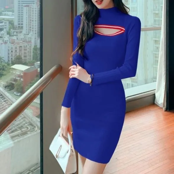 Soneya High Neck Bodycon Dress